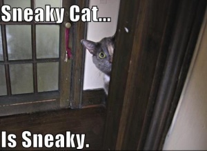 sneaky-cat.jpg?w=300&h=219