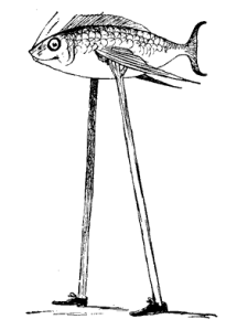 fish-on-stilts